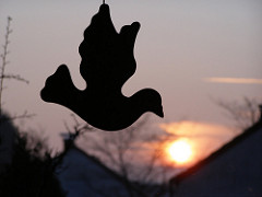The Start of the Day and Email Social Integration