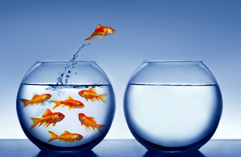 Customer loyalty is disappearing in a hurry
