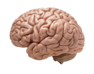 Why Consumer Psychology Matters In Content Marketing