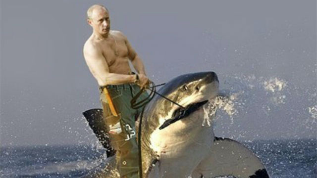 Russia Is Outlawing Celebrity Memes