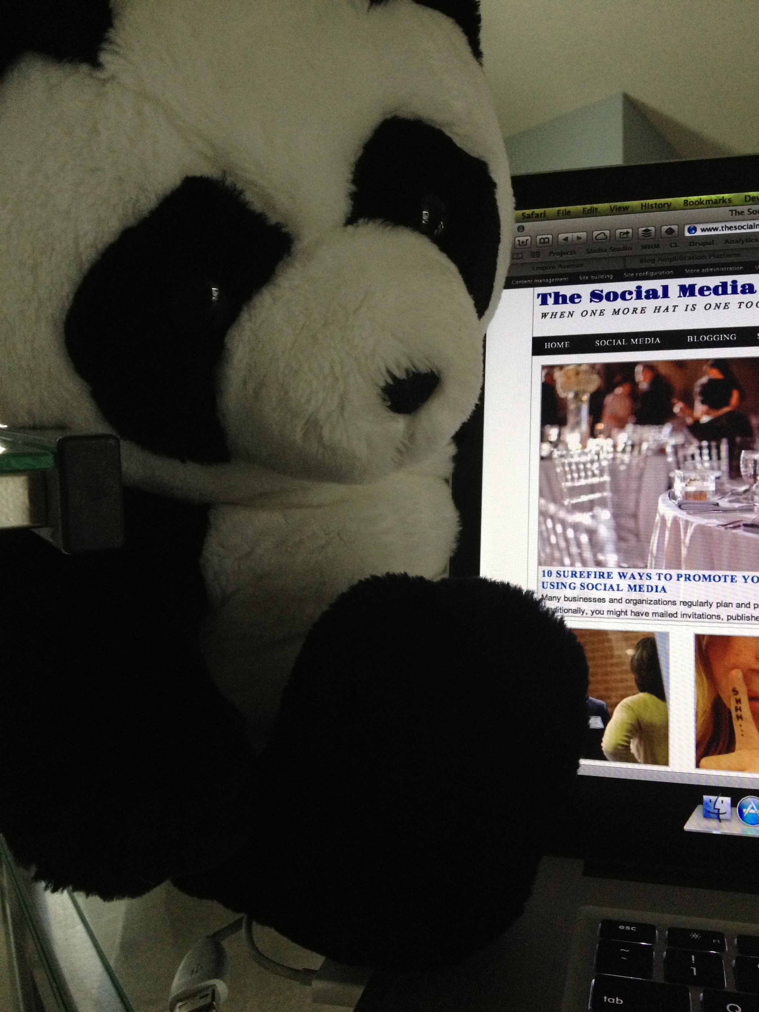 How to Google-proof Your Website in Six Steps